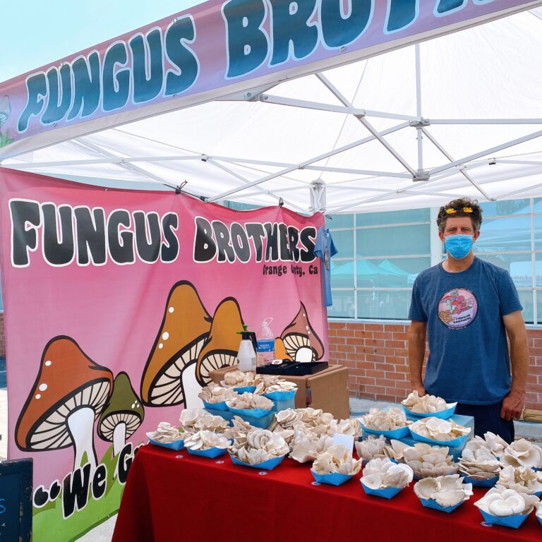 The Fungus Brothers Bring Beautiful Oyster Mushrooms to Orange County