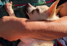 Canto CCCLVII: The Nearness of Hook